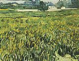 Champ de bl et maison blanche 1890 by Vincent van Gogh